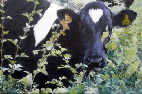 Friesianportrait1 copy