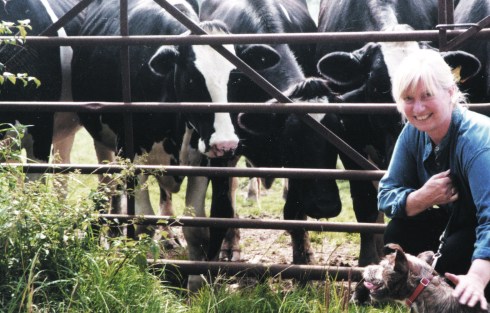 jane-friesians-starston 2007